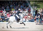 Pferd International 157
